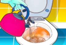 Pourquoi est-il indispensable de verser de l’eau chaude dans les toilettes ? L’effet est insoupçonné
