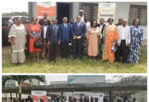 Lutte contre les feux de brousse, transformation de la banane plantain : le FONSTI finance 2 projets